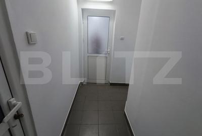 Spatiu comercial, 60 mp, zona Nicolina 2 - 6