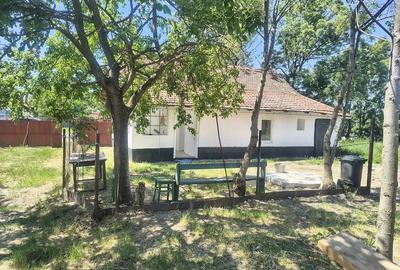 Casă cu Teren 1500 Mp în Tormac - 1