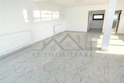 Spatiu comercial Lunca Cetatuii - langa Centura - 14