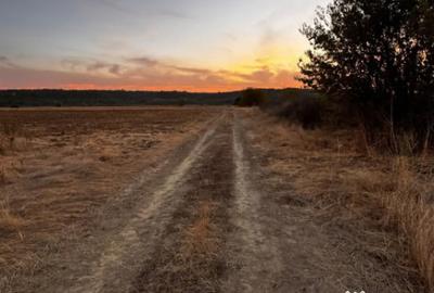 Teren de 5000 mp, în Brestei - 4