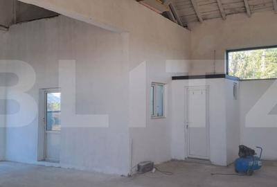 Spațiu comercial, de 370 mp, în Valea - 3