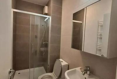 Baba Novac Residence, Dristor, Proprietar - 4