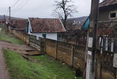 Casă cu 3 camere cu Teren 3629 Mp în Boian - 1