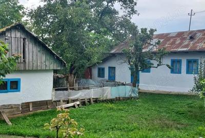 Casă cu 4 camere cu Teren 400 Mp în Tansa - 6