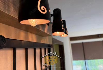 Oferta 2 case la pret de una in Ghercesti Ideal pentru 2 familii - 9