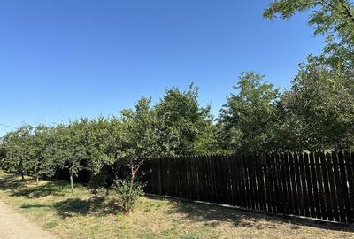 Casă cu 2 camere în Văcăreasca - 3