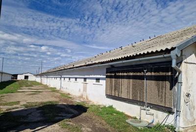 Teren Construcții intravilan de 26395 mp, în Șimnicu de Sus - 2