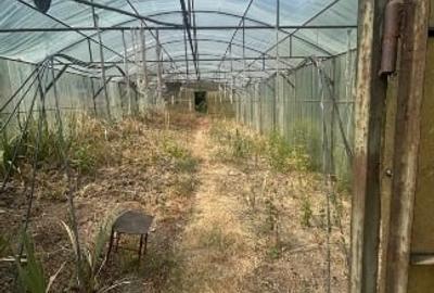 Teren intravilan compus din doua loturi. Unul 2580 mp cu casa de locuit de 52 mp Teren intravilan compus din doua loturi. Unul 2580 mp cu casa de locuit de 52 mp - 2