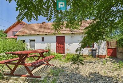 Casa de vacan?a mobilata ?i utilata la Mini? - 5