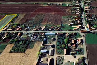 Teren de 5018 mp, în Variașu Mare - 6