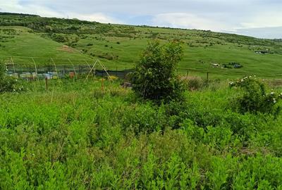 Teren intravilan de 1212 mp, în Dorobanț - 4