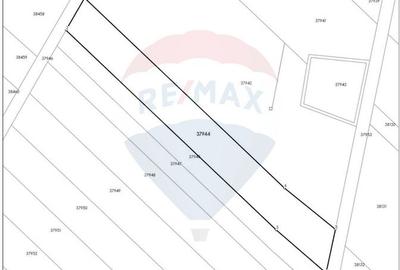 Vanzare teren intravilan 7,400 mp Sabareni / Strada Primaverii - 4