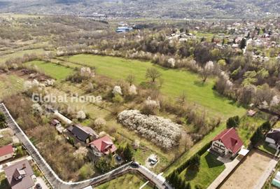 Teren de 23345 mp, în Cornu - 2