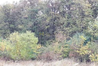 Teren agricol intravilan de 400 mp, în Gruiu - 1