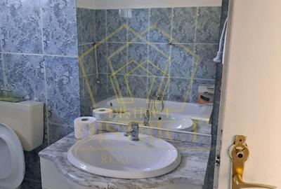 Spatiu comercial util compartimentat I Lipovei - 8