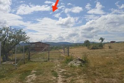 De vanzare teren extravilan in Valea Crisului - 7