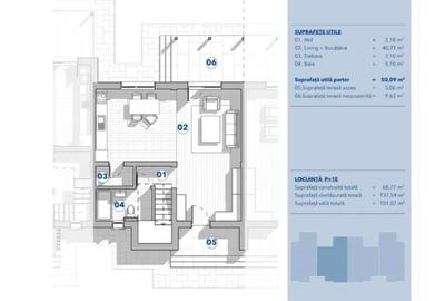 Valea Lupului, case insiruite P+Et. su=101mp. teren 160mp. (250mp) - 11