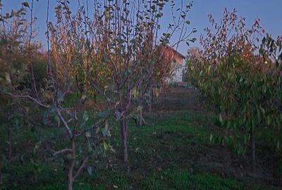 Casă individuală cu 5 camere cu Canalizare în Varlaam - 3