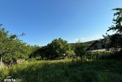 Teren de 2540 mp, în Valea Adâncă - 4