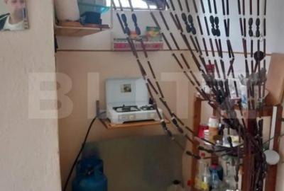 Teren de 600 mp, în Bercu Roșu - 10