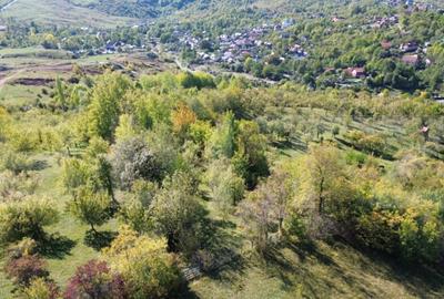 Teren extravilan, 41.631,00 mp, zona Pietrosita - 1