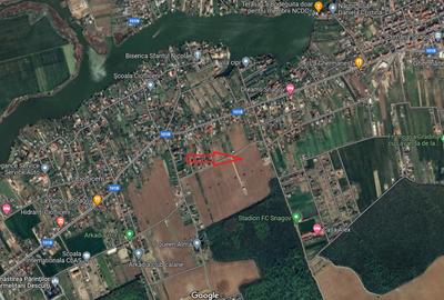Snagov-Ghermanesti, teren intravilan, 5000mp, la padure - 2