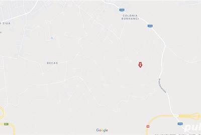 Teren de 4039 mp, în Borhanci - 3