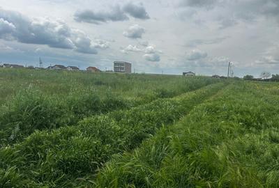 Teren Construcții intravilan de 1000 mp, în Tuzla - 8