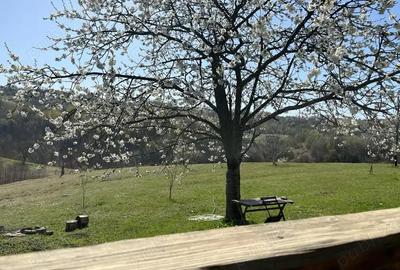 Casă cu 2 camere cu Teren 20000 Mp în Târnova - 8