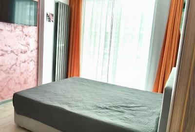 Apartament cu 2 camere semidecomandat, mobilat în Nord - 10