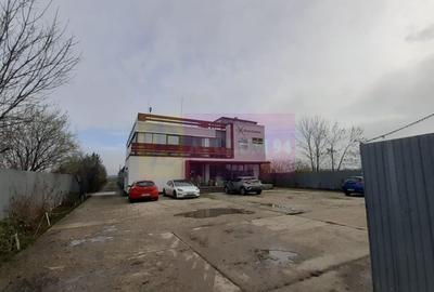 Spațiu industrial, de 1,250 mp, în 1 Decembrie - 10