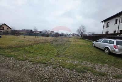 Teren 519mp Dumbrava Rosie / Strada CRANGULUI - 7