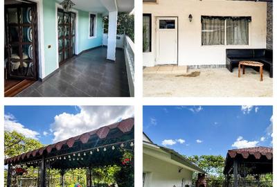 Oportunitate de afacere Casa + Hala (160mp) - Onesti - 7