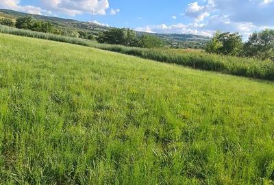 Spațiu comercial, în Borhanci - 3