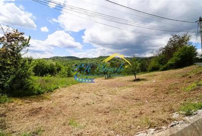 Teren Intravilan de vanzare, Cornu de Jos Prahova - 4