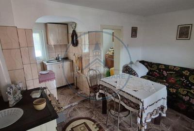 Casă cu 4 camere cu Teren 3800 Mp în Prundu Bârgăului - 12