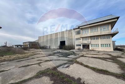 Spațiu industrial, de 5,300 mp, în Dobrinești - 2