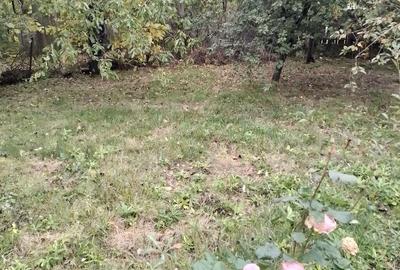 Casă cu 4 camere cu Teren 2500 Mp în Movilița - 9