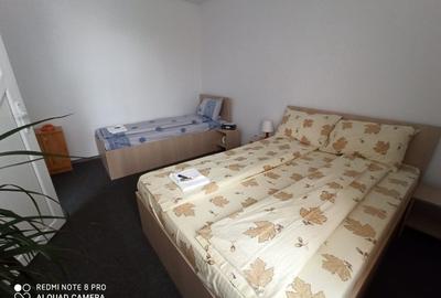 Inchiz apartament cu 2 camere central Timisoara - 11