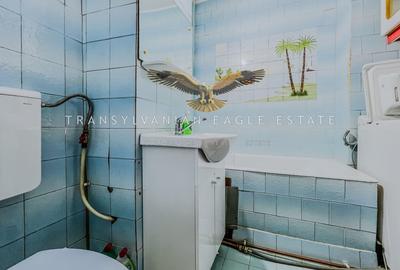 Locuinta decomandata cu 2 camere|situata pe A. Vlahuta|Grigo - 10