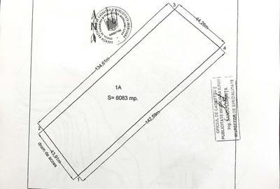 Locatie excelenta ! Silistea Snagovului, 6.083 mp. cu deschidere stradala de 44 m. - 5