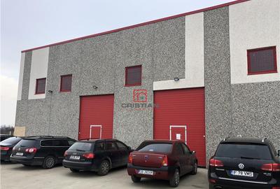 Depozit/spatiu industrial/hala Chitila - Rudeni, ILFOV - 11