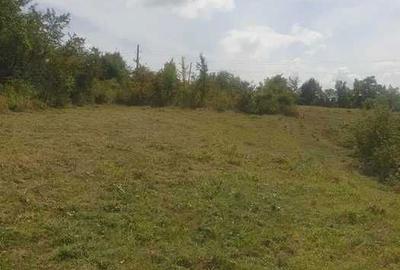 Teren de 2000 mp, în Seciu - 6