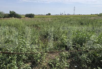 Casă cu 1 camere cu Teren 2415 Mp în Periferie - 7