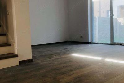 De vanzare case insiruite deosebite 84 mp Braytim - 12