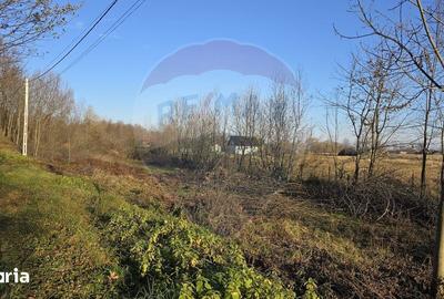 Teren de 10860 mp, în Gălănești - 12