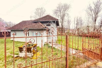 Casă cu 2 camere cu Teren 2000 Mp în Laz - 8