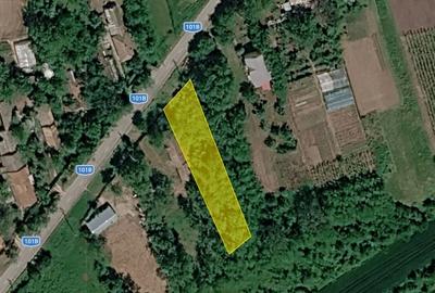 Teren agricol intravilan de 900 mp, în Nuci - 7