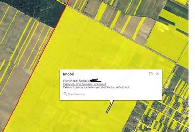 Teren extravilan,Sat Ciupercenii Noi, jud. Dolj - 1