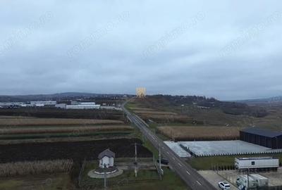 Teren de 14066 mp, în Mihoveni - 3